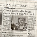Article Midi Libre 2010